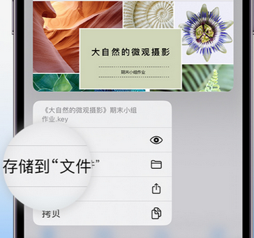 孟连apple维修中心分享iPhone文件应用中存储和找到下载文件