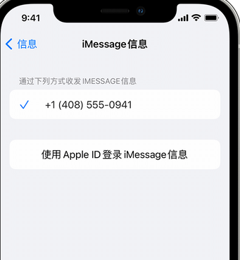 孟连apple维修iPhone上无法正常发送iMessage信息 