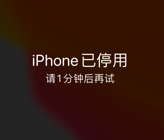 孟连苹果手机维修分享:iPhone 显示“不可用”或“已停用”怎么办？还能保留数据吗？ 