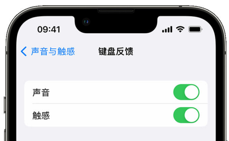 孟连苹果手机维修分享iPhone 14触感键盘使用方法 