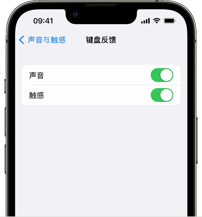 孟连苹果14维修店分享如何在 iPhone 14 机型中使用触感键盘 