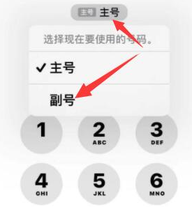 孟连苹果14维修店分享iPhone 14 Pro Max使用副卡打电话的方法 