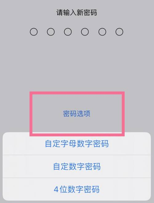 孟连苹果14维修分享iPhone 14plus设置密码的方法 