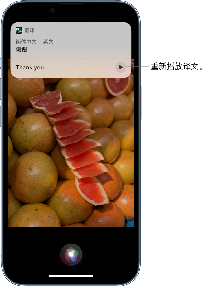 孟连苹果14维修分享 iPhone 14 机型中使用 Siri：了解 Siri 能帮你做什么 