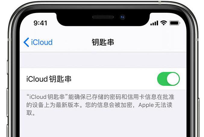 孟连苹果手机维修分享在 iPhone 上开启 iCloud 钥匙串之后会储存哪些信息 