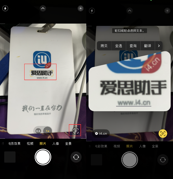 孟连苹果手机维修分享升级iOS 16后如何通过相机翻译文本 