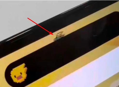 孟连苹果14维修分享iPhone 14 Pro Max灵动岛怎么养宠物 