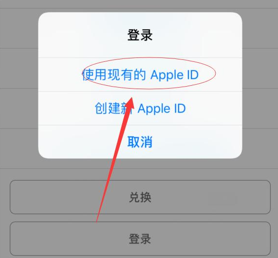 孟连苹果手机维修分享两台iPhone设备可以同时登录一个Apple ID吗 