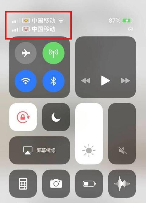 孟连苹果手机维修分享为 iPhone 12 双卡设置标签 